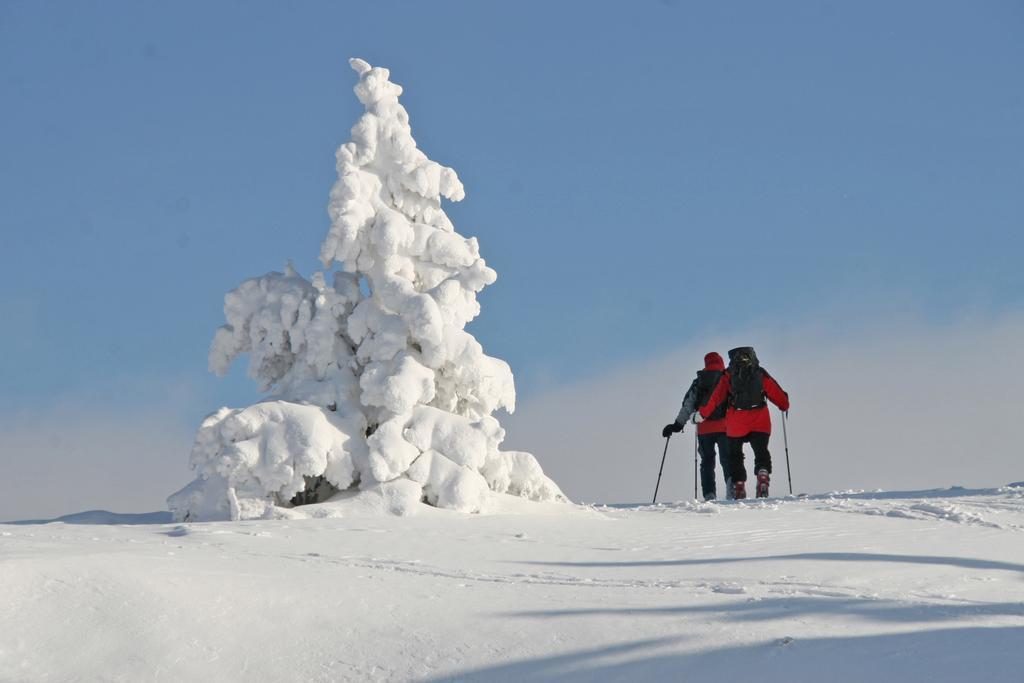 Ferienhuetten Zimmermann Spital am Semmering Exterior foto